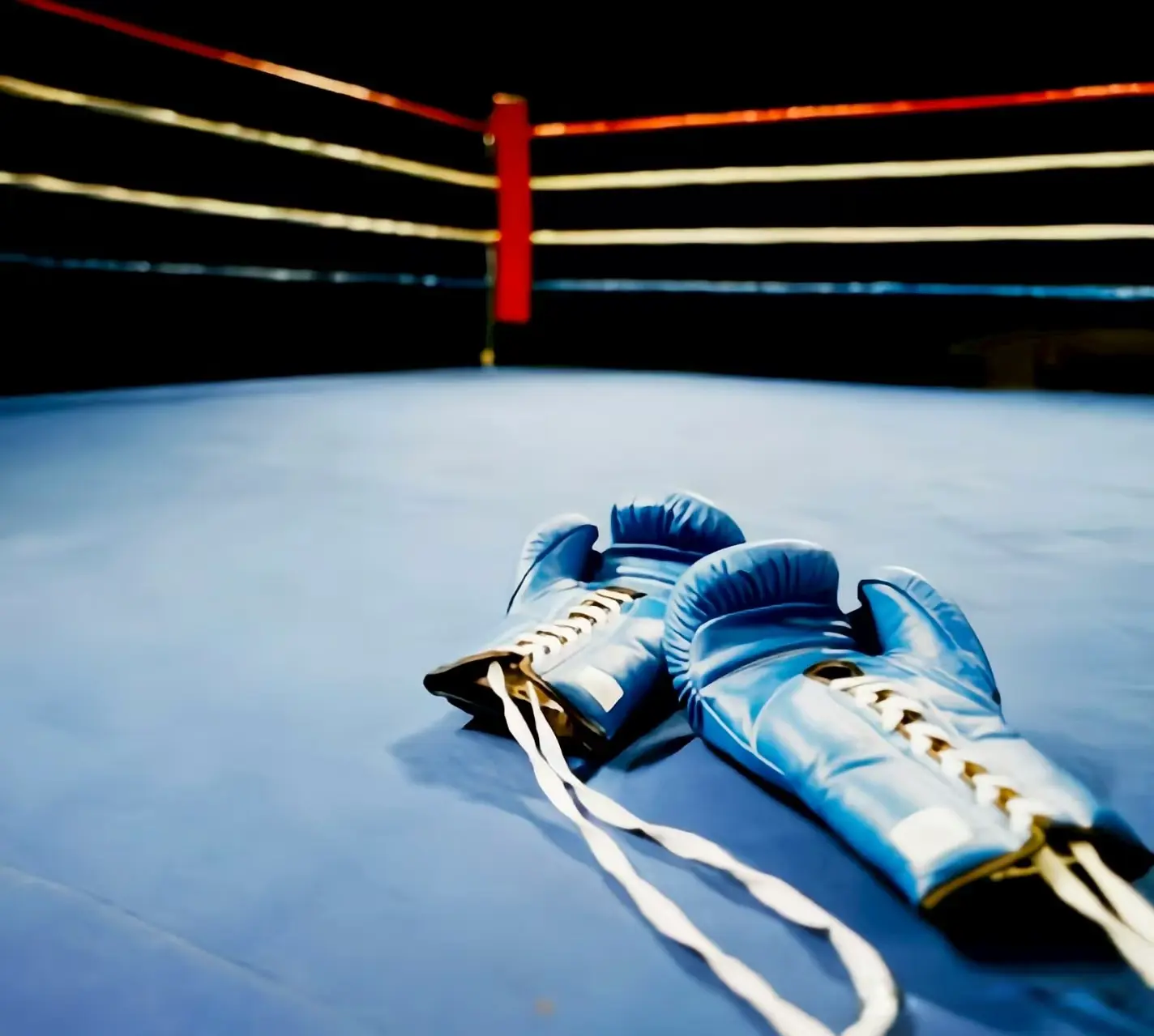 回合角逐, 确实有点, 不排除正式